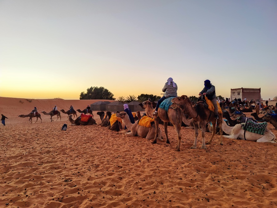 Safe, Comfortable & Well-Organized Morocco Tours